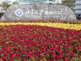 深圳各大医院专家教授预约挂号排队挂号